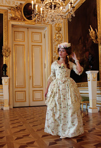 Rococo Robe A'la Polonaise