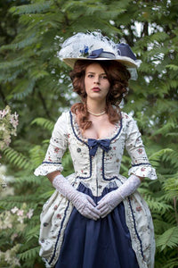 Rococo Robe A'la Polonaise