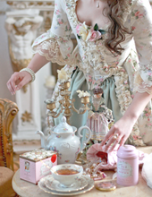 Load image into Gallery viewer, Rococo Robe A&#39;la Polonaise
